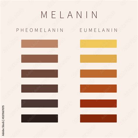 Melanin Melani .